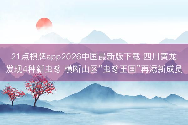 21点棋牌app2026中国最新版下载 四川黄龙发现4种新虫豸 横断山区“虫豸王国”再添新成员